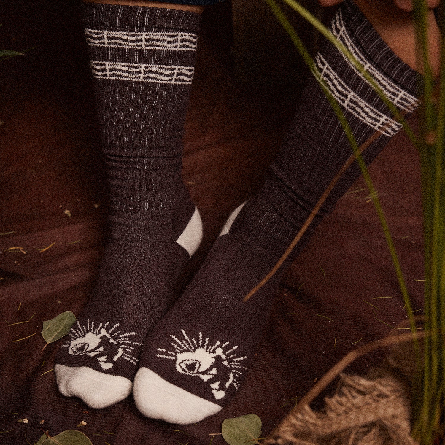 Pass~Port Australian Manufactured Socks - Brown / Natural - Image 7