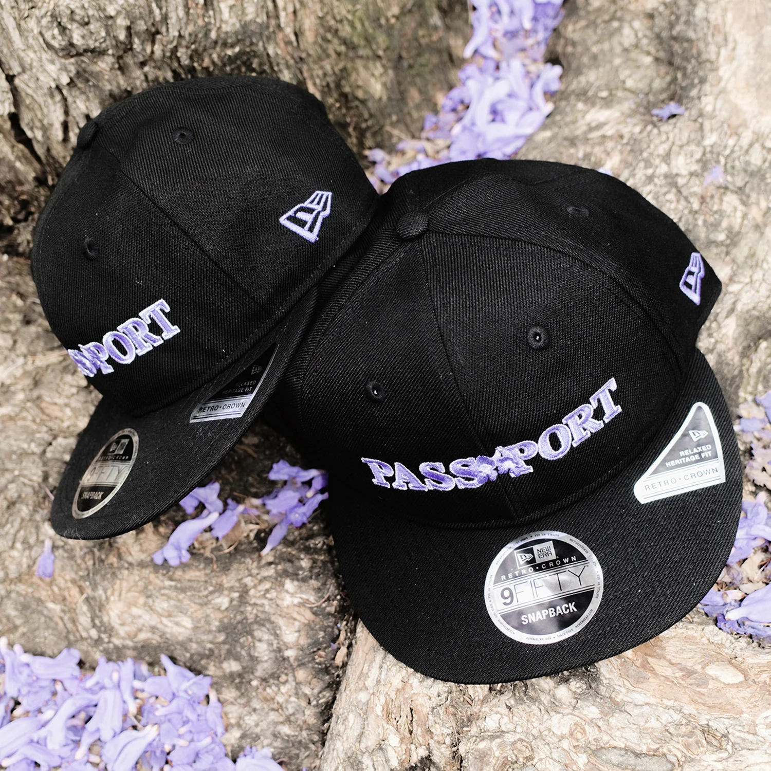 Pass~Port & New Era Jacaranda Cap - Black - Image 4