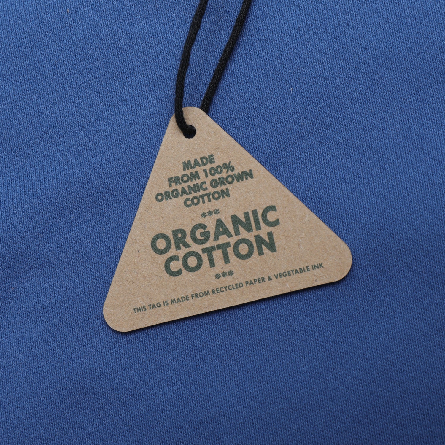 Pass~Port Organic Embroidery Hoodie - Royal Blue - Image 3